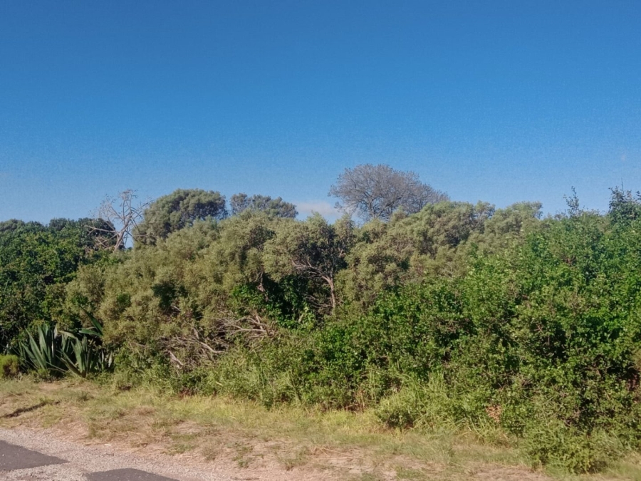 Commercial Property for Sale in Paradise Beach Eastern Cape